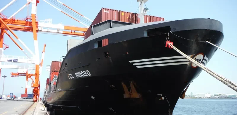 PACIFIC QINGDAO Container Ship IMO 9498688 photo 5
