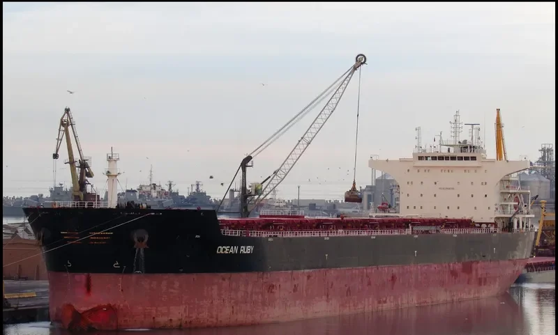 CAROLINE OLDENDORFF Bulk Carrier IMO 9498705 photo 3