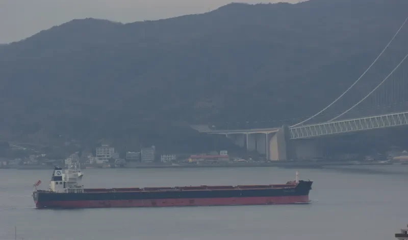 CAROLINE OLDENDORFF Bulk Carrier IMO 9498705 photo 8