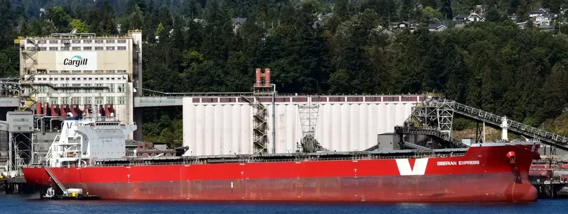 HUI XIN 8 Bulk Carrier IMO 9498717 photo 2