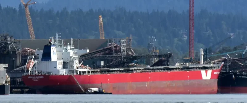 HUI XIN 8 Bulk Carrier IMO 9498717 photo 3