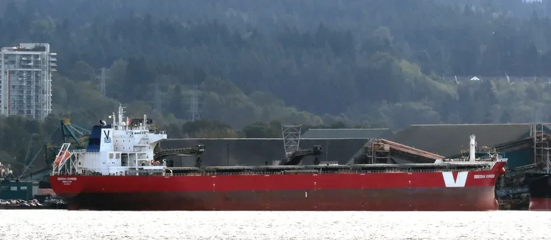 HUI XIN 8 Bulk Carrier IMO 9498717 photo 4