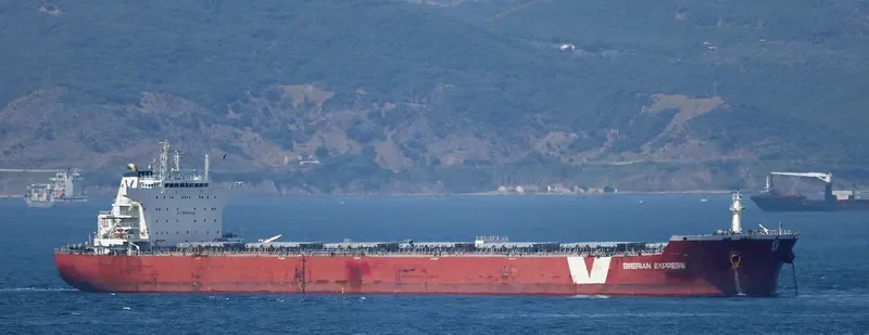 HUI XIN 8 Bulk Carrier IMO 9498717 photo 5