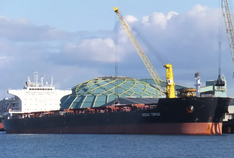DE XIN CHANG HAI Bulk Carrier IMO 9498731 photo 2