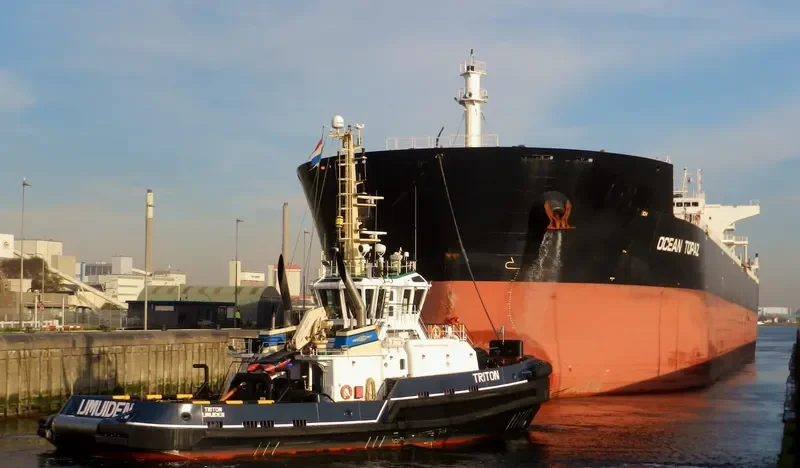 DE XIN CHANG HAI Bulk Carrier IMO 9498731 photo 6