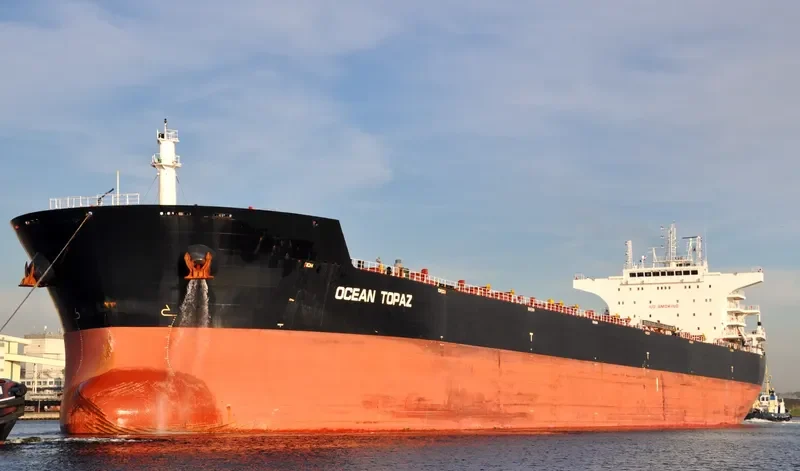 DE XIN CHANG HAI Bulk Carrier IMO 9498731 photo 8