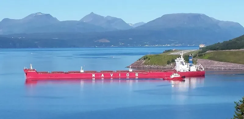 NAVIOS STELLAR Bulk Carrier IMO 9498781 photo 2
