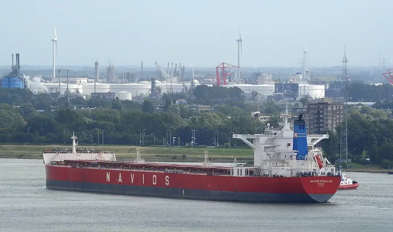 NAVIOS STELLAR Bulk Carrier IMO 9498781 photo 6