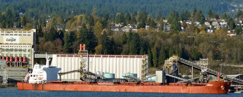 THASSOS WARRIOR Bulk Carrier IMO 9498810