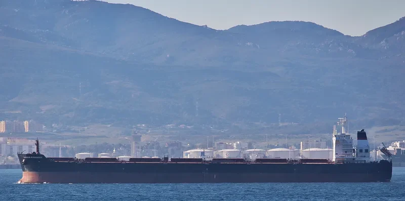 CORNELIE OLDENDORFF Bulk Carrier IMO 9498846 photo 2