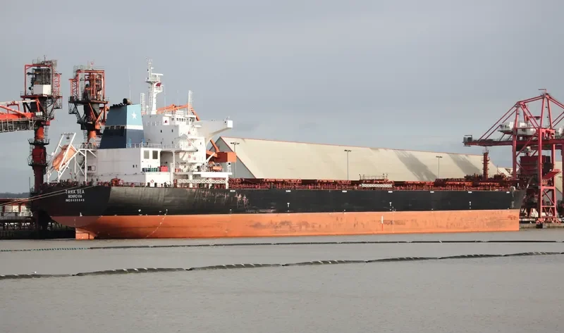 CORNELIE OLDENDORFF Bulk Carrier IMO 9498846 photo 8
