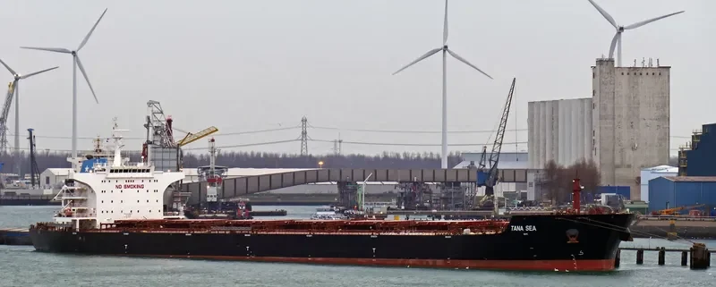 CORNELIE OLDENDORFF Bulk Carrier IMO 9498846 photo 10