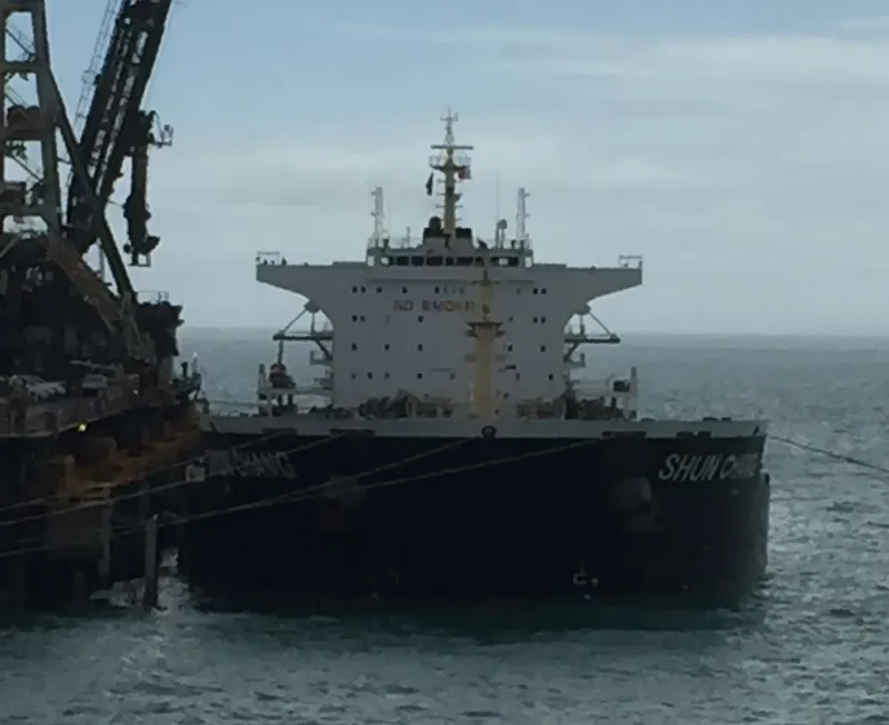 SHUN CHANG Bulk Carrier IMO 9498860 photo 2