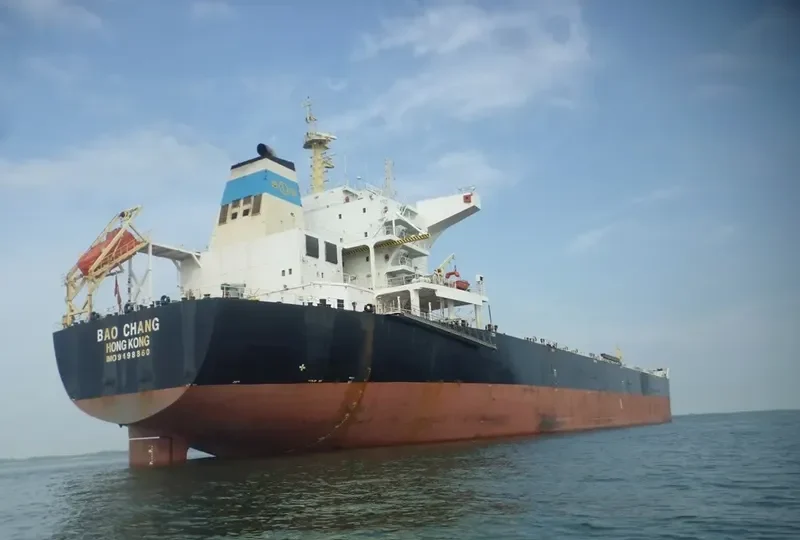 SHUN CHANG Bulk Carrier IMO 9498860 photo 4