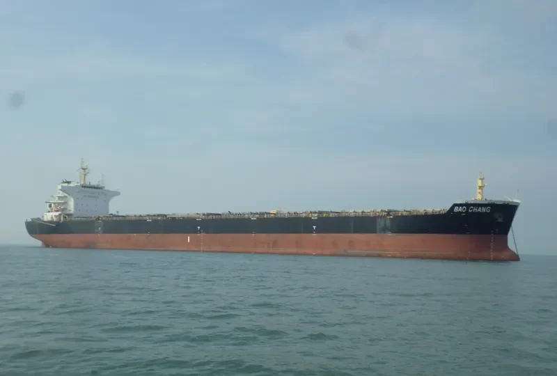 SHUN CHANG Bulk Carrier IMO 9498860 photo 5