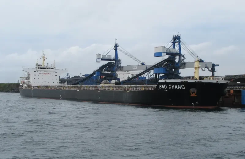 SHUN CHANG Bulk Carrier IMO 9498860 photo 6