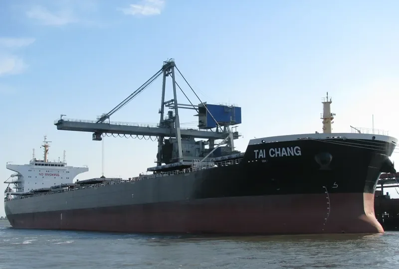 TAI CHANG Bulk Carrier IMO 9498872 photo 4