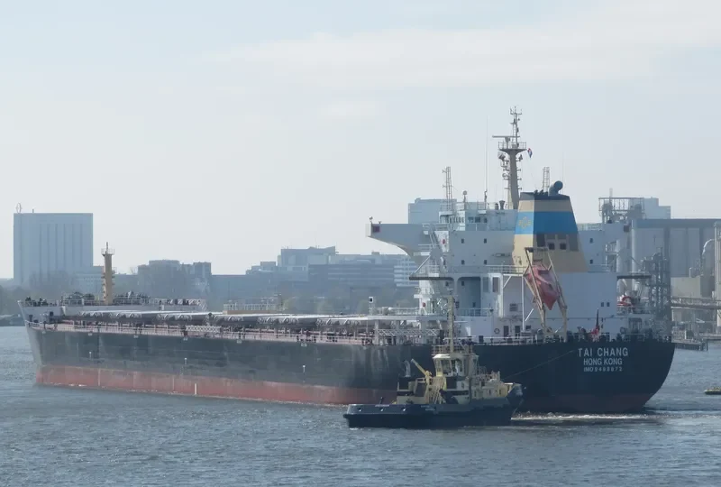 TAI CHANG Bulk Carrier IMO 9498872 photo 8