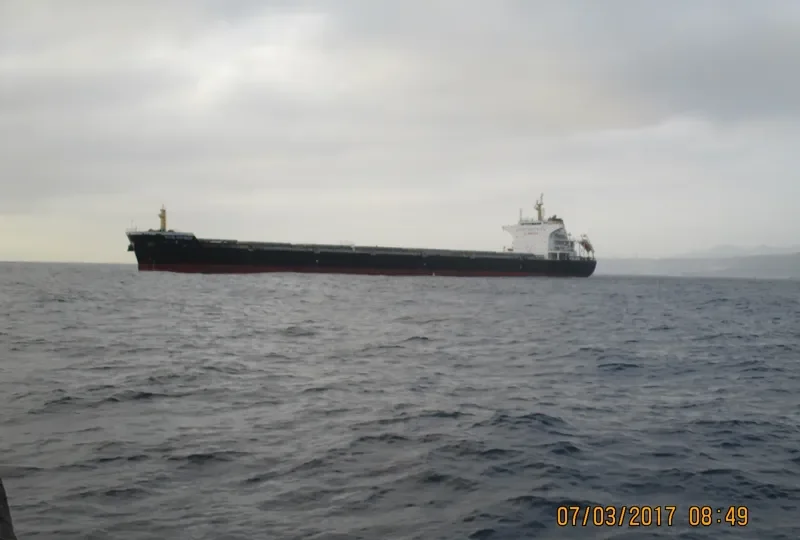 ALBERT OLDENDORFF Bulk Carrier IMO 9498896