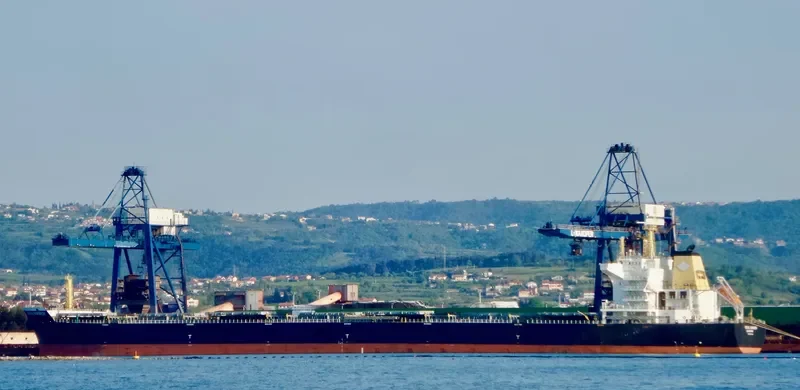 ALBERT OLDENDORFF Bulk Carrier IMO 9498896 photo 4