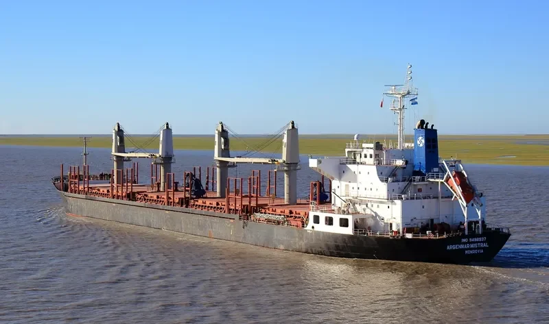 ARGENMAR MISTRAL Bulk Carrier IMO 9498937 photo 3