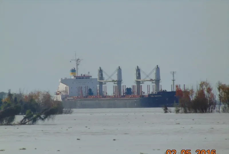 ARGENMAR MISTRAL Bulk Carrier IMO 9498937 photo 7