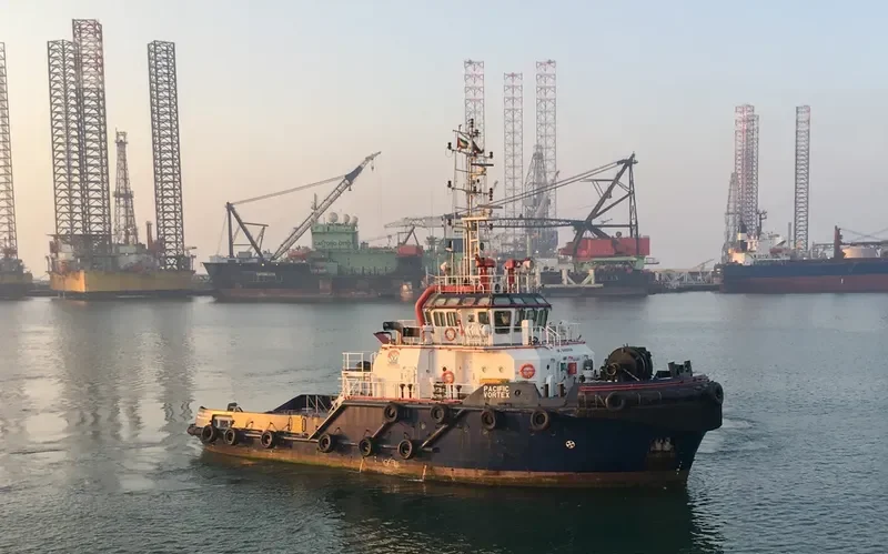 PACIFIC VORTEX General Cargo IMO 9499204