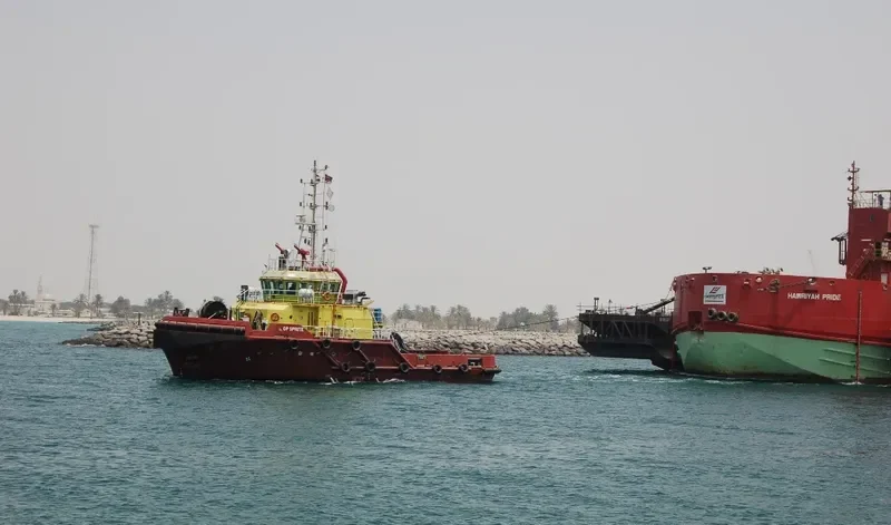 PACIFIC VORTEX General Cargo IMO 9499204 photo 4