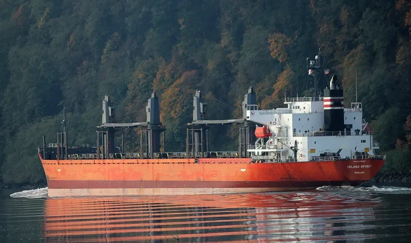 LADY MARGARET Bulk Carrier IMO 9499424