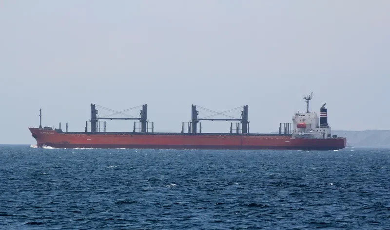 LADY MARGARET Bulk Carrier IMO 9499424 photo 3