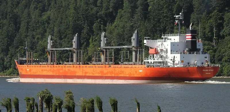 LADY MARGARET Bulk Carrier IMO 9499424 photo 6