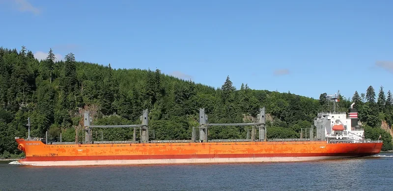 LADY MARGARET Bulk Carrier IMO 9499424 photo 7