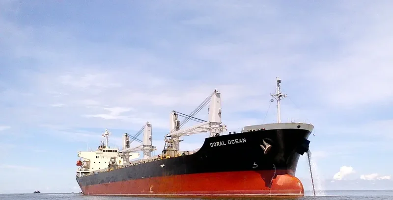 ORCUN C Bulk Carrier IMO 9499436 photo 2
