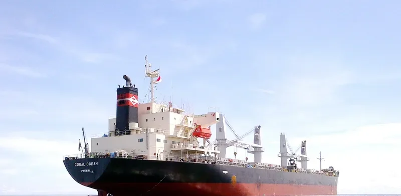 ORCUN C Bulk Carrier IMO 9499436 photo 3