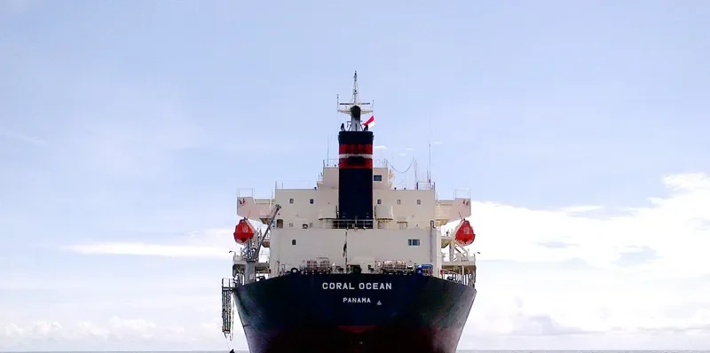ORCUN C Bulk Carrier IMO 9499436 photo 5