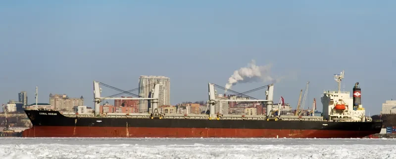 ORCUN C Bulk Carrier IMO 9499436 photo 10