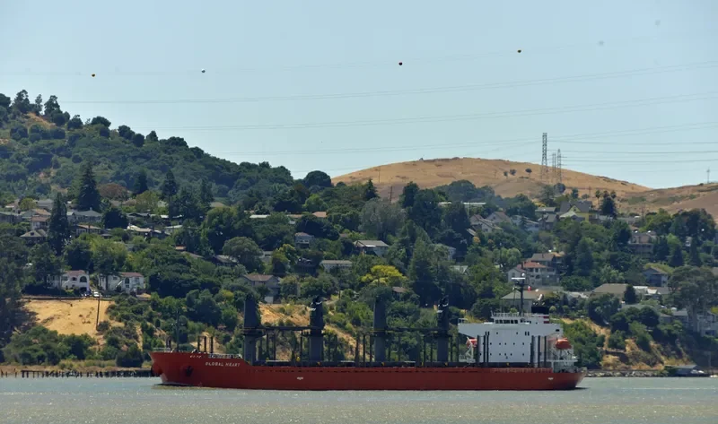 OBE HEART Bulk Carrier IMO 9499448
