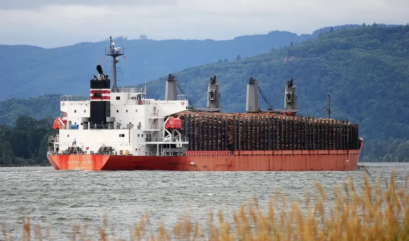 OBE HEART Bulk Carrier IMO 9499448 photo 8