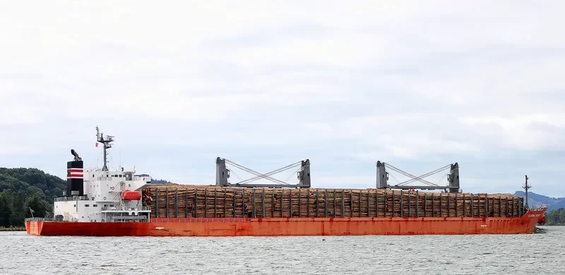 OBE HEART Bulk Carrier IMO 9499448 photo 9