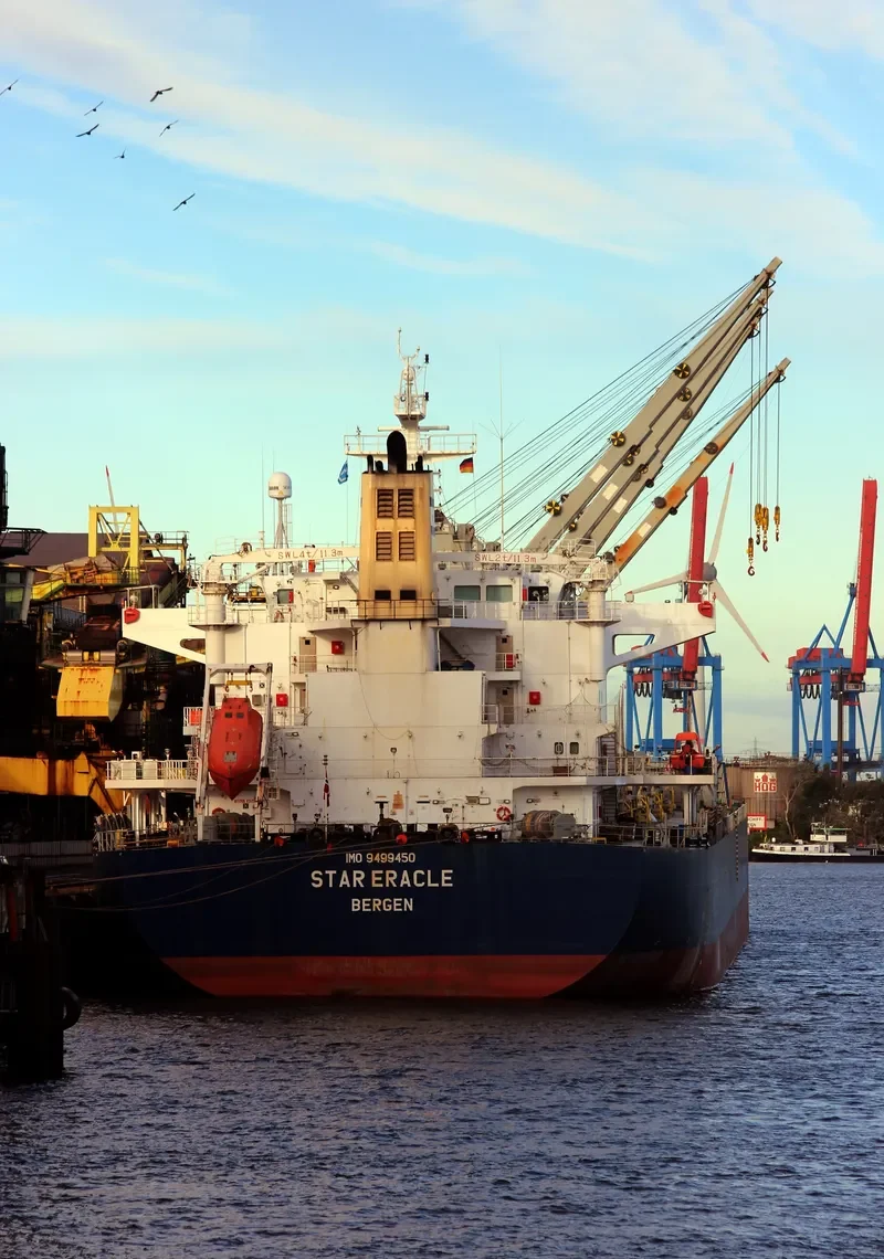 STAR ERACLE Bulk Carrier IMO 9499450 photo 5