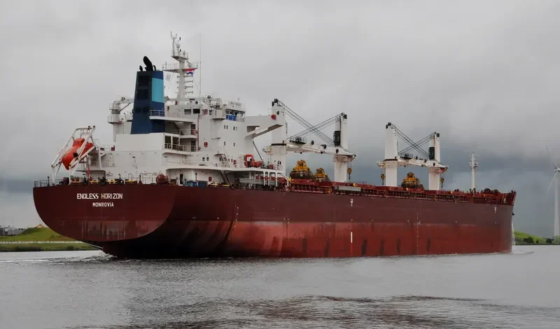 ENDLESS HORIZON Bulk Carrier IMO 9499462