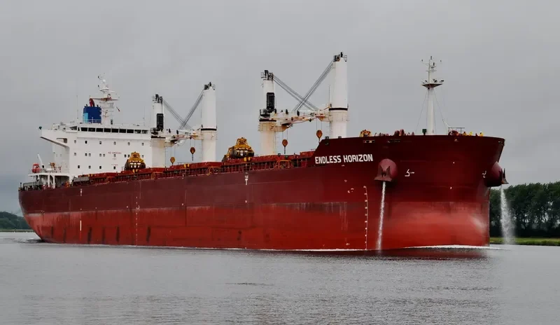ENDLESS HORIZON Bulk Carrier IMO 9499462 photo 2