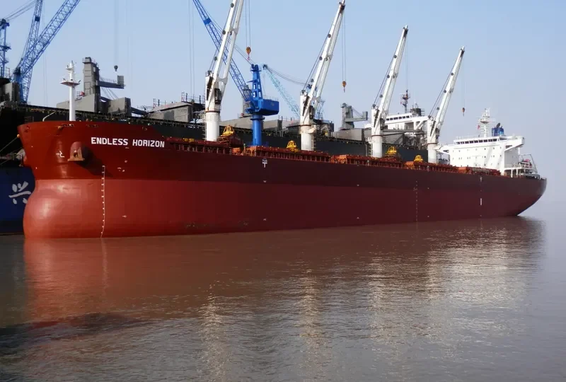 ENDLESS HORIZON Bulk Carrier IMO 9499462 photo 4
