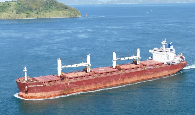 ENDLESS HORIZON Bulk Carrier IMO 9499462 photo 7