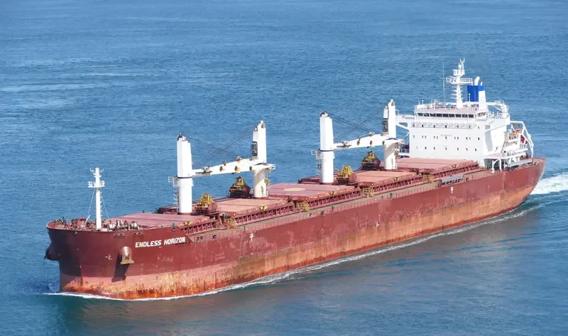 ENDLESS HORIZON Bulk Carrier IMO 9499462 photo 8