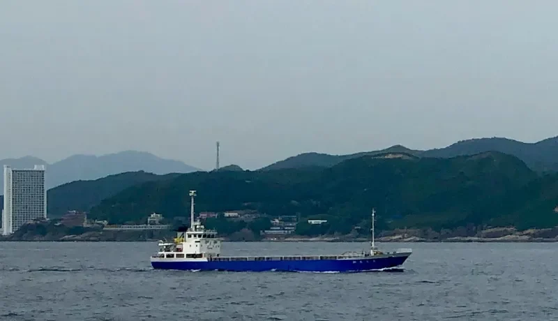 AISHO NO.8 General Cargo IMO 9499515 photo 3