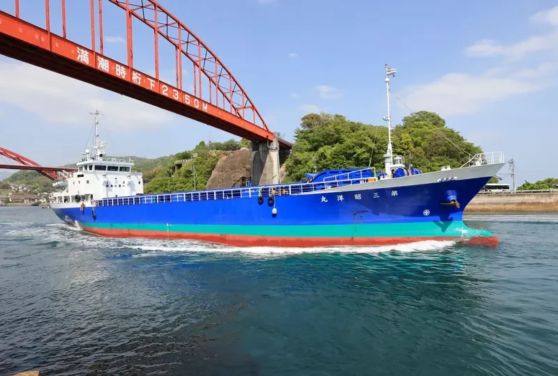 SHOYO MARU NO.3 General Cargo IMO 9499527 photo 5