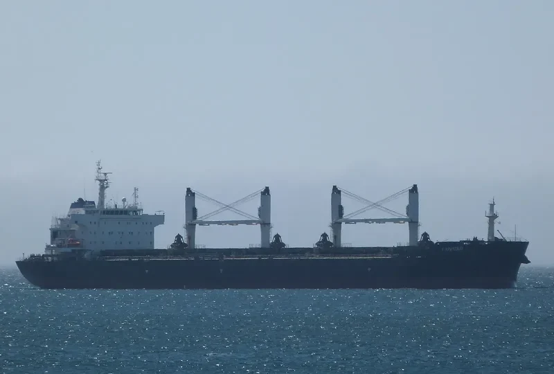 CN JOURNEY Bulk Carrier IMO 9499618