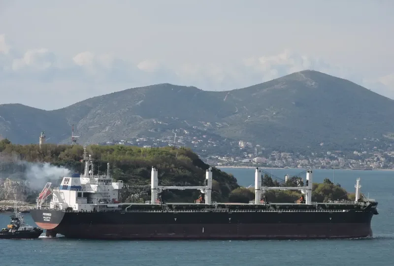 CN JOURNEY Bulk Carrier IMO 9499618 photo 4