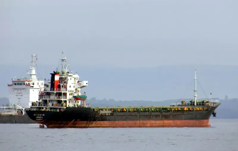BALI GIANYAR General Cargo IMO 9499761 photo 6
